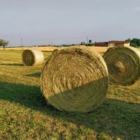 Cascina Benotto 4* Moriondo Torinese