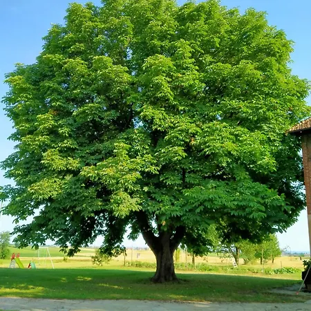 Cascina Benotto