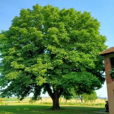 Gasthuis Cascina Benotto Moriondo Torinese