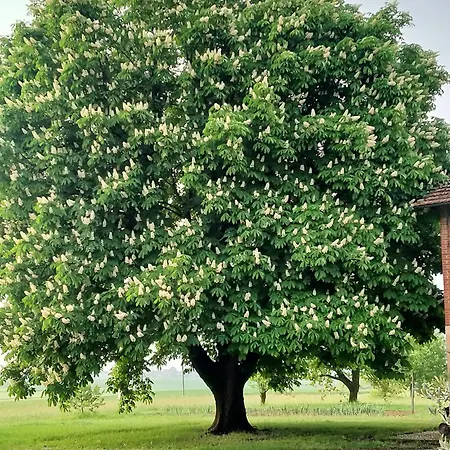 Cascina Benotto Gasthuis